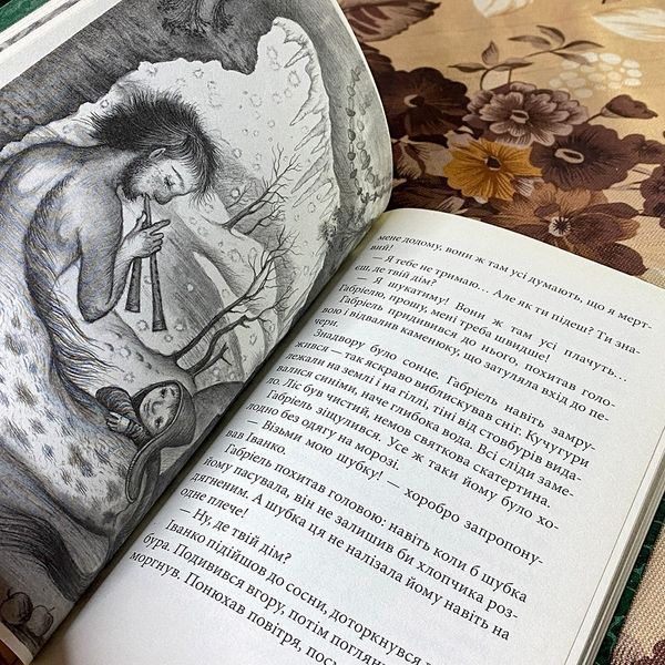 Книга "Габріель і сталевий Лісоруб". Марина и Сергей Дяченко 0884 &mdash; основное фото товара