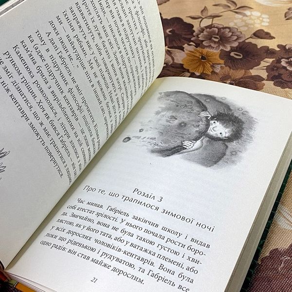 Книга "Габріель і сталевий Лісоруб". Марина и Сергей Дяченко 0884 &mdash; основное фото товара