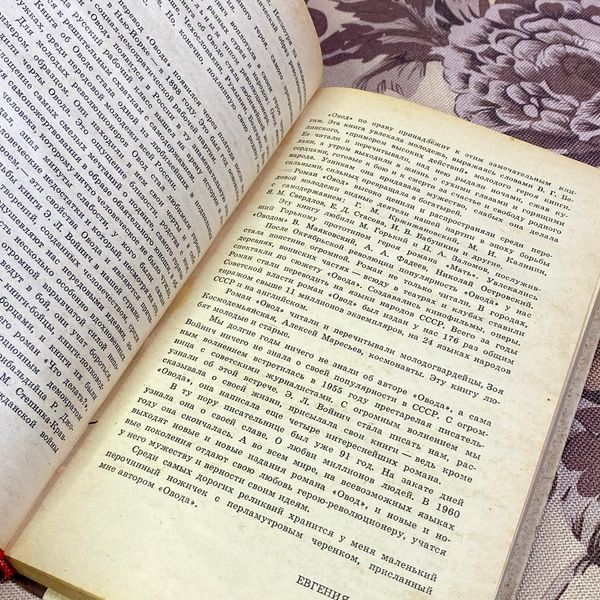 Книга "Овод". Этель Лилиан Войнич 1580 &mdash; основное фото товара