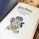 Книга "Harry Potter and the Sorcerer`s Stone". Джоан Роулінг 1006 &mdash; фото 8 товару з різних ракурсів