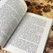 Книга "Звук павутинки. Земля світлячків". Виктор Близнец 0877 &mdash; фото 6 товара с разных ракурсов