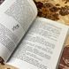 Книга "Звук павутинки. Земля світлячків". Виктор Близнец 0877 &mdash; фото 5 товара с разных ракурсов