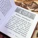Книга "Гипнотизм". Генріх Оберштейнер. Міні-формат 1483 &mdash; фото 6 товару з різних ракурсів