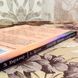 Книга "Принятие решений в организациях. Психология труда и организационная психология". Еріх Кірхлер та Андреа Шротт 1939 &mdash; фото 3 товару з різних ракурсів