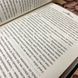 Книга "Зламані іграшки. Київська сищиця". Андрей Кокотюха 0084 &mdash; фото 7 товара с разных ракурсов