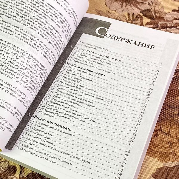 Книга "Теория видео. Онлайн-видео: эстетика или деградация видео". Андреас Трески 1719 &mdash; основне фото товару