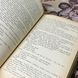 Книга "Сімнадцять спалахів весни" (Сборник). Юлиан Семенов 0378 &mdash; фото 7 товара с разных ракурсов