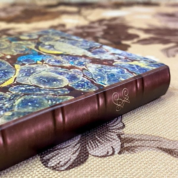 Книга "Страдание и удовольствие". Альфред Фулье. Мини-формат 1488 &mdash; основное фото товара