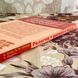 Книга "Религия, ритуал, театр". Бент Холм, Бент Флемминг Нилсен и Карен Ведель 1710 &mdash; фото 3 товара с разных ракурсов