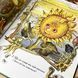 Книга "Стоїть півень на току" (Збірка) 0984 &mdash; фото 6 товару з різних ракурсів