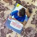 Книга "Специфічні розлади розвитку дитини та процес навчання". Федеріка Брембаті та Роберта Доніні 0852 &mdash; фото 1 товару з різних ракурсів