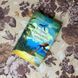 Книга "В стране кораллового дерева". София Каспари 0116 &mdash; фото 1 товара с разных ракурсов