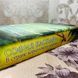 Книга "В стране кораллового дерева". София Каспари 0116 &mdash; фото 5 товара с разных ракурсов