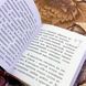 Книга "Страсть и ее лечение". Морис Флери. Мини-формат 1480 &mdash; фото 6 товара с разных ракурсов