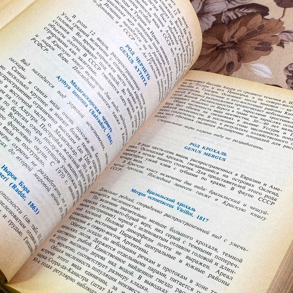 Книга "Редкие и исчезающие животные. Птицы". Винокурів Ардаліон 1997 &mdash; основне фото товару