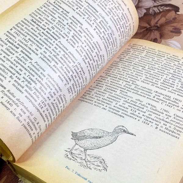 Книга "Редкие и исчезающие животные. Птицы". Винокурів Ардаліон 1997 &mdash; основне фото товару