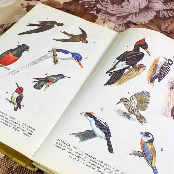 Книга "Редкие и исчезающие животные. Птицы". Винокурів Ардаліон 1997 &mdash; основне фото товару