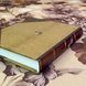 Книга "Табу". Джеймс Джордж Фрезер. Міні-формат 1900 &mdash; фото 4 товару з різних ракурсів