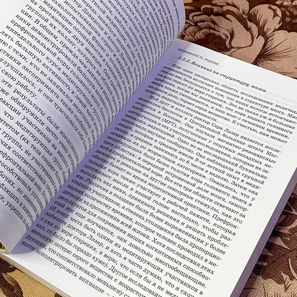 Книга "Осознанное решение. Эффективная практика для ежедневных проблем". Рональд Зігель 1473 &mdash; основне фото товару