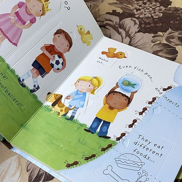 Книга "Very First Questions and Answers. What is poo?". Кэйти Дэйнс (Claire Catherine Danes) 0606 &mdash; основное фото товара