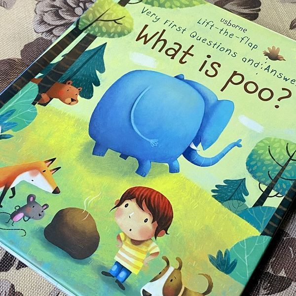 Книга "Very First Questions and Answers. What is poo?". Кэйти Дэйнс (Claire Catherine Danes) 0606 &mdash; основное фото товара