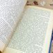 Книга "Стоик. Оплот". Теодор Драйзер 1811 &mdash; фото 7 товару з різних ракурсів