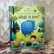 Книга "Very First Questions and Answers. What is poo?". Кэйти Дэйнс (Claire Catherine Danes) 0606 &mdash; фото 3 товара с разных ракурсов