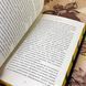 Книга "Гаррі Поттер і Філософський камінь. Гоґвортське видання. Гафелпаф". Джоан Роулинг 1183 &mdash; фото 10 товара с разных ракурсов