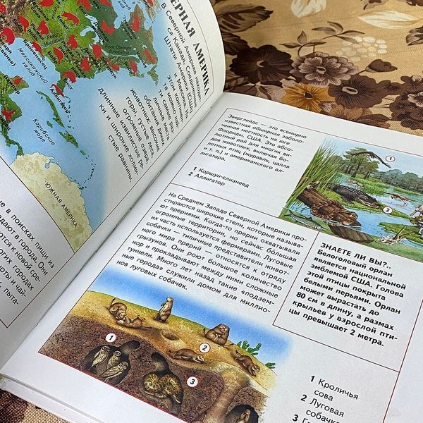 Книга "Животные. Детский иллюстрированный атлас" 0834 &mdash; основне фото товару