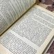 Книга "Кінець отамана Чорного". Олег Олейников 0433 &mdash; фото 7 товара с разных ракурсов