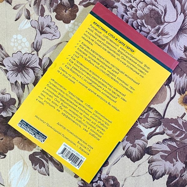 Книга "Работа в команде. Как подобрать и организовать эффективную команду". Крістіна Оттл та Гітте Гертер 1453 &mdash; основне фото товару