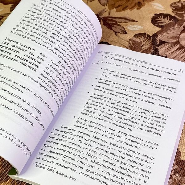 Книга "Мотивация в организациях". Еріх Кірхлер та Кріста Родлер 2020 &mdash; основне фото товару