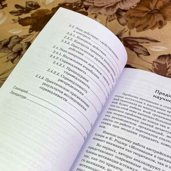 Книга "Мотивация в организациях". Еріх Кірхлер та Кріста Родлер 2020 &mdash; основне фото товару