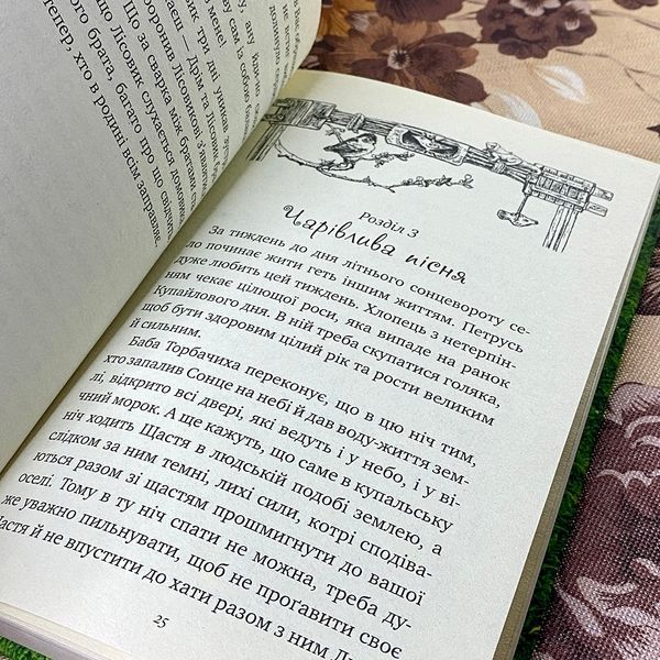 Книга "Петрусь Химородник". Дара Корній 0825 &mdash; основне фото товару