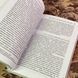 Книга "Методы анализа текста и дискурса". Стефан Тичер, Майкл Меер, Рут Водак и Ева Веттер 1941 &mdash; фото 10 товара с разных ракурсов