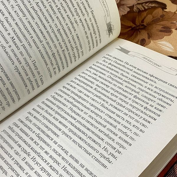 Книга "Под Южным Крестом". Луи Буссенар 0176 &mdash; основное фото товара