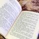 Книга "Так казав Заратустра" (Збірка). Фрідріх Ніцше 1639 &mdash; фото 7 товару з різних ракурсів