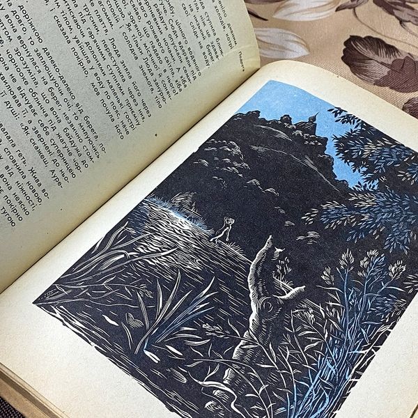 Книга "Подруга". Антоніна Будкевич 0438 &mdash; основне фото товару